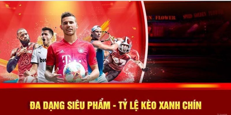 Cập nhật các nội dung mới liên quan đến kho game của nhà cái