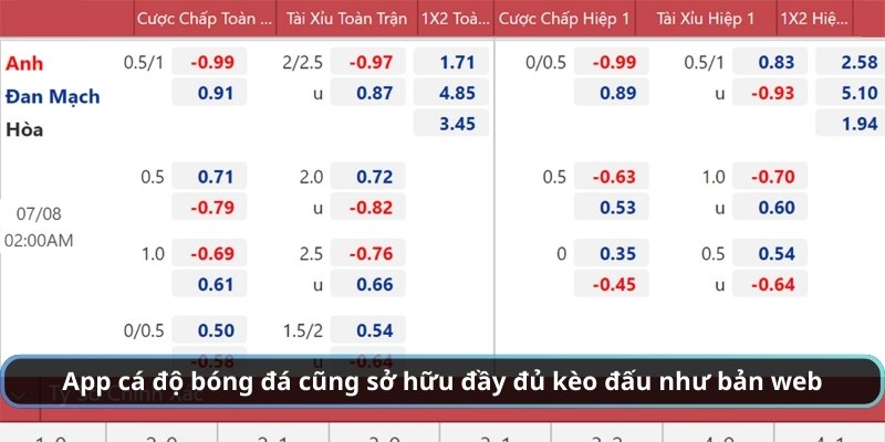 App cá cược bóng đá cũng sở hữu đầy đủ kèo đấu như bản web